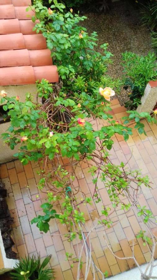 Maison Charmante A Sainte-Marie Avec Grand Jardin Zewnętrze zdjęcie